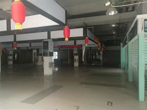 河源市廠房安全檢測(cè)鑒定機(jī)構(gòu) 創(chuàng)新技術(shù)指導(dǎo)助力企業(yè)安全生產(chǎn)，筑牢工業(yè)發(fā)展基石