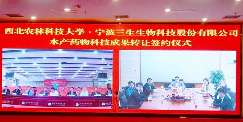 云端攜手，創(chuàng)新賦能 寧波三生與西北農(nóng)林科技大學簽署技術(shù)咨詢協(xié)議，共促科技成果轉(zhuǎn)化