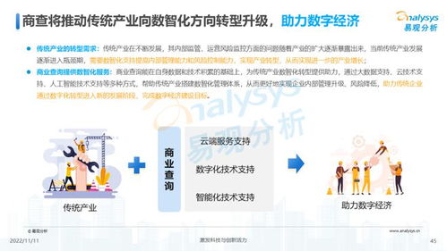 透視用戶需求，深挖服務潛力 2022中國商業查詢行業洞察